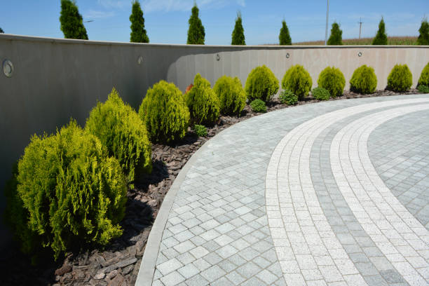 Best Decorative Driveway Pavers  in Moa, UT